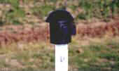 R-4 Tee-Post Cap